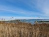 Holts Landing State Park