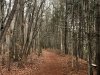 Holts Landing State Park