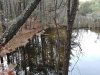 Holts Landing State Park