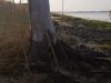 Holts Landing State Park