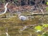 Holts Landing State Park