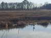 Prime Hook National Wildlife Refuge Visitor Center