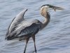 Prime Hook National Wildlife Refuge Visitor Center