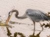 Prime Hook National Wildlife Refuge Visitor Center