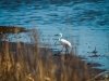 Prime Hook National Wildlife Refuge Visitor Center