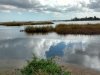 Prime Hook National Wildlife Refuge Visitor Center