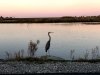 Prime Hook National Wildlife Refuge Visitor Center