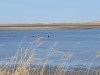 Prime Hook National Wildlife Refuge Visitor Center