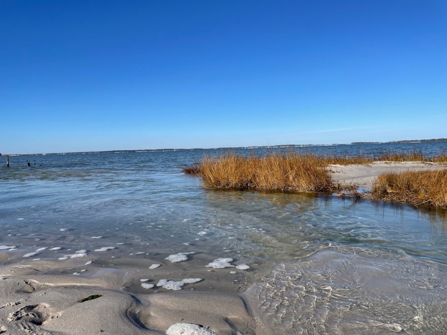 James Farm Ecological Preserve