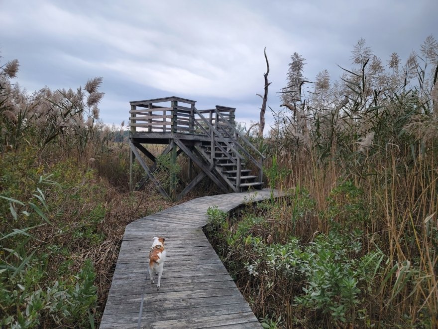 James Farm Ecological Preserve