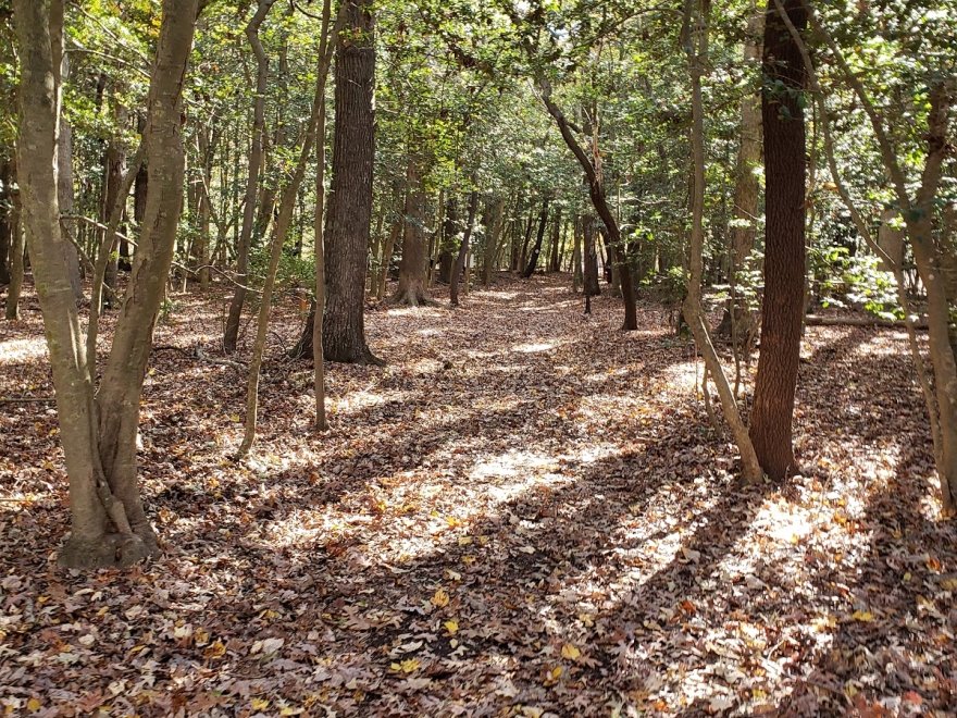James Farm Ecological Preserve