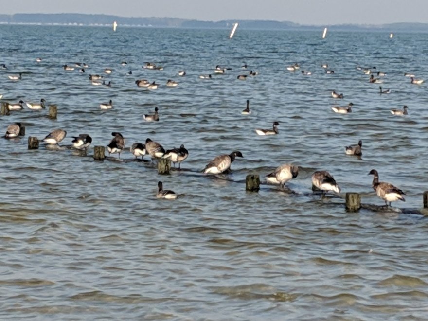 James Farm Ecological Preserve