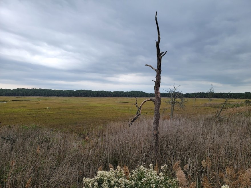 James Farm Ecological Preserve
