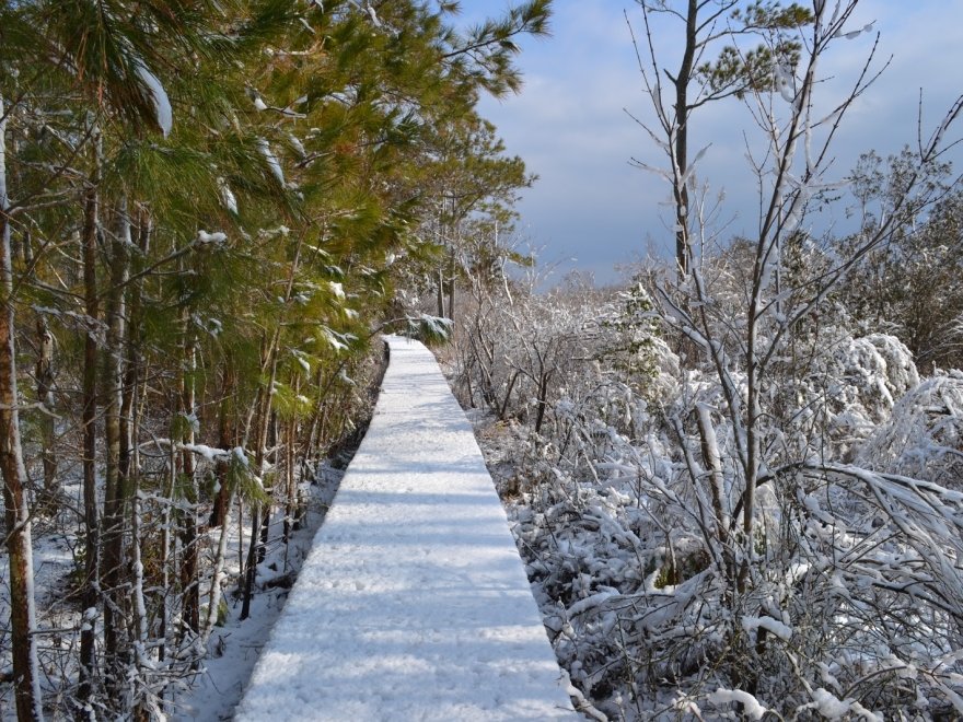 James Farm Ecological Preserve