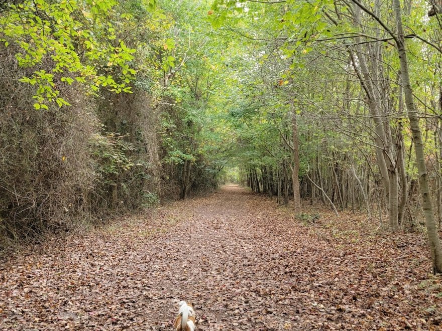 James Farm Ecological Preserve