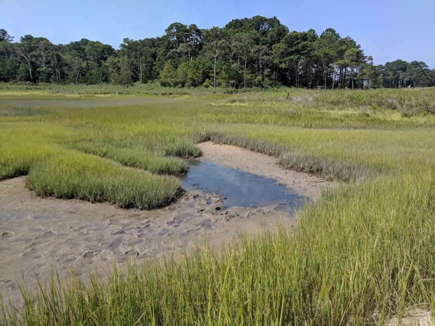 James Farm Ecological Preserve
