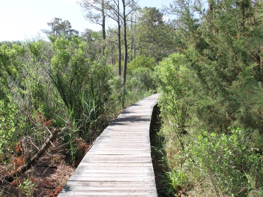 James Farm Ecological Preserve