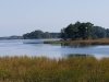 Assawoman Wildlife Area
