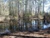 Assawoman Wildlife Area