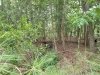 Assawoman Wildlife Area