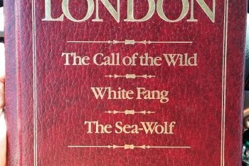 Magnolia Street Antiques