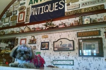 Antique Alley of Bridgeville llc