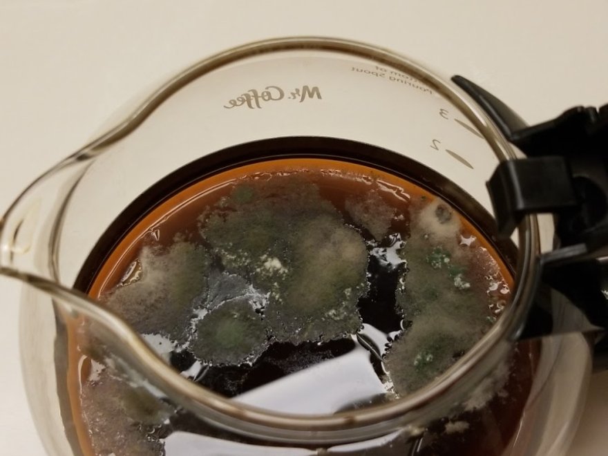 Days Inn & Suites by Wyndham Seaford