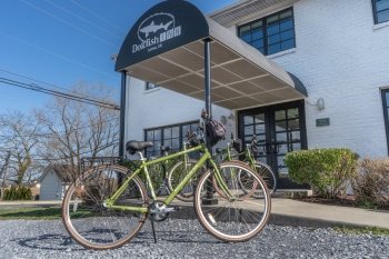 Dogfish Inn
