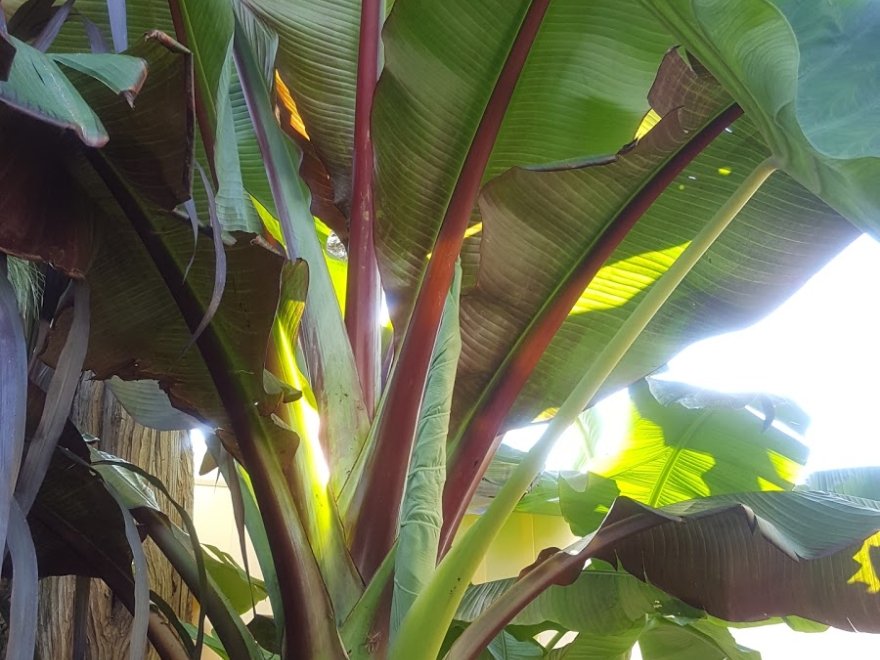 Rehoboth Guest House