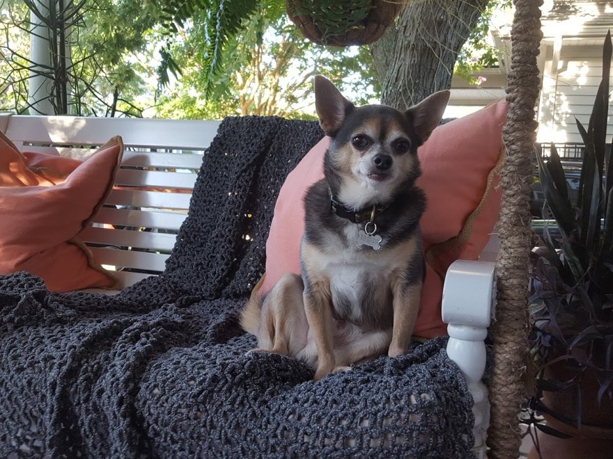 Rehoboth Guest House