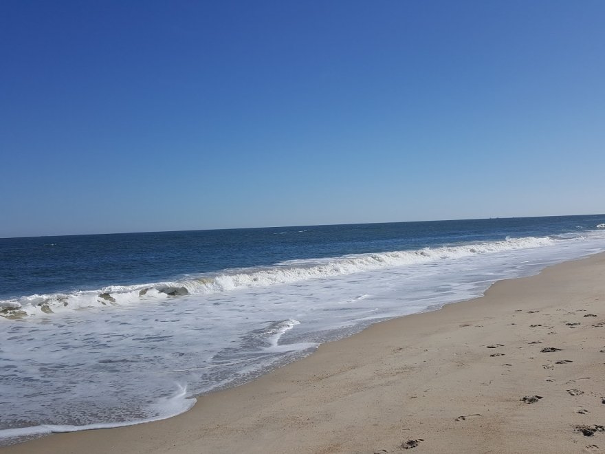 Delaware Seashore State Park