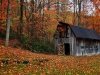 Redden State Forest