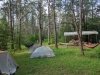 Redden State Forest