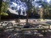 Redden State Forest
