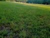 Redden State Forest