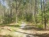 Redden State Forest