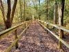 Redden State Forest