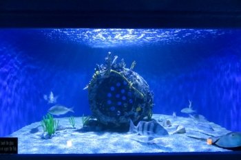 Seaside Nature Center