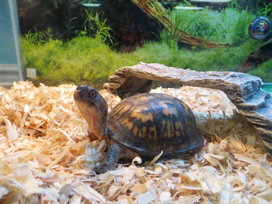 Seaside Nature Center