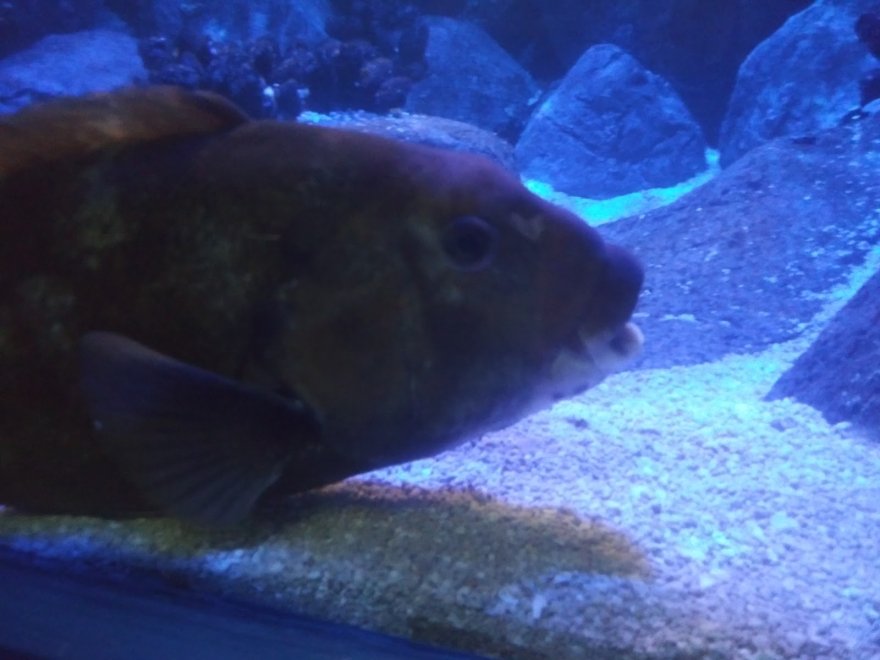 Seaside Nature Center