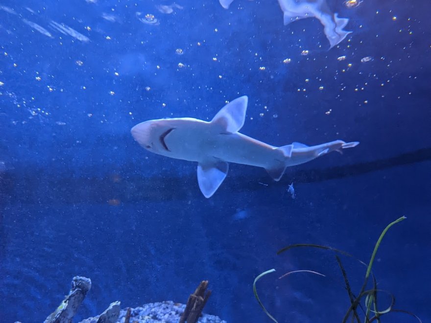 Seaside Nature Center