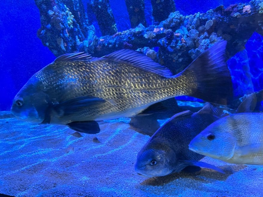 Seaside Nature Center