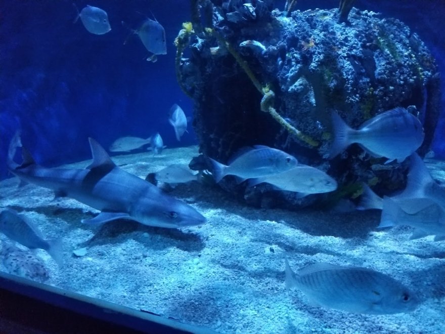 Seaside Nature Center