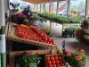 Parsons Farms Produce