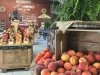 Evans Farms