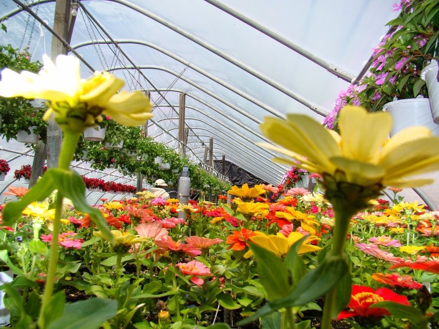 Jeff's Green Houses & Gift Shop