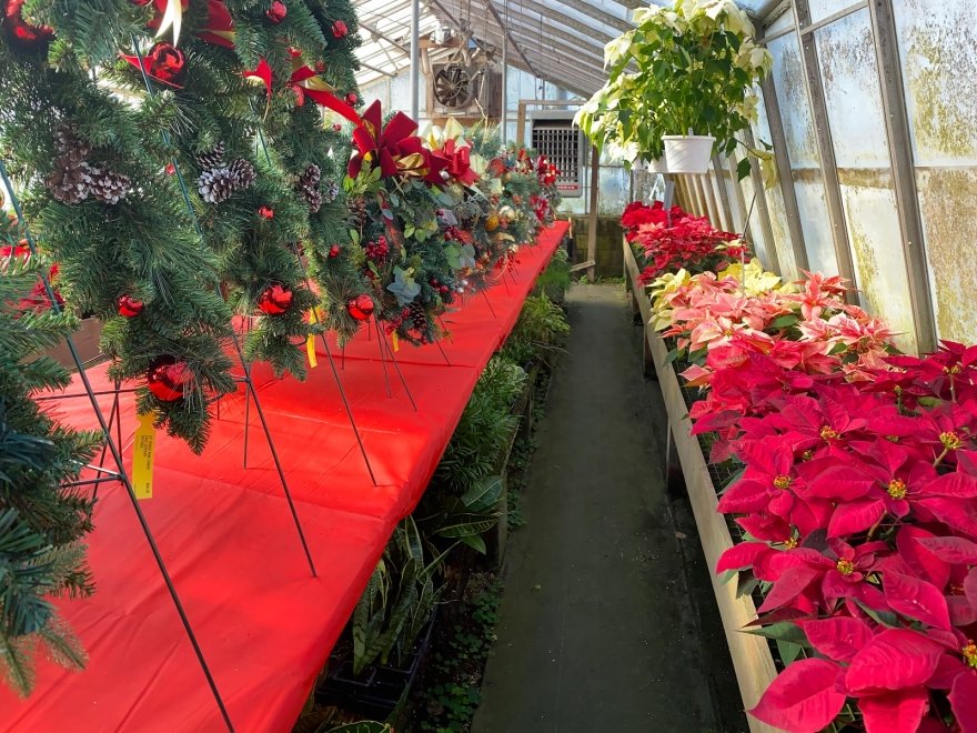 Jeff's Green Houses & Gift Shop