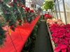 Jeff's Green Houses & Gift Shop