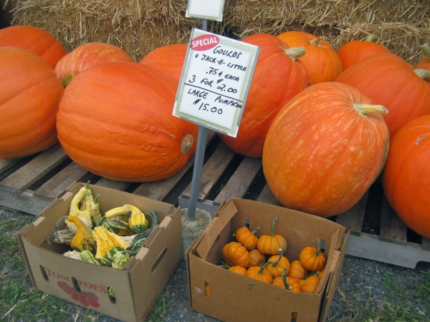 Jeff's Green Houses & Gift Shop