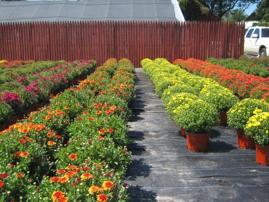 Jeff's Green Houses & Gift Shop